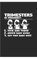 Trimesters of pregnancy