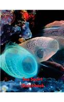 Sea Squirt Sketchbook: (Sketchbooks for Drawing)
