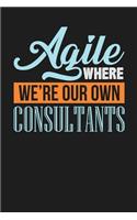 Agile Where We're Our Own Consultants