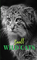 Small Wild Cats