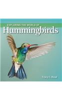 Exploring the World of Hummingbirds