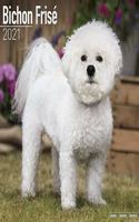 Bichon Frise 2021 Wall Calendar