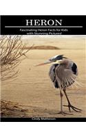 Heron: Fascinating Heron Facts for Kids with Stunning Pictures!