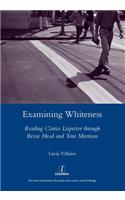 Examining Whiteness
