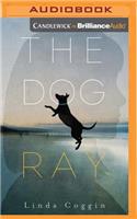 Dog, Ray