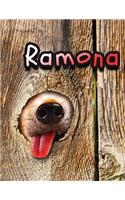 Ramona: Personalized Discreet Internet Website Password Organizer, Large Print Book, 8 1/2