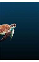 Turtle Notebook: 150 lined pages, softcover, 6 x 9