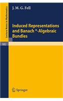 Induced Representations and Banach*-Algebraic Bundles