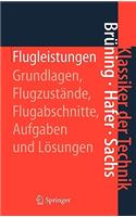 Flugleistungen