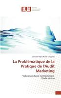 Problématique de la Pratique de l'Audit Marketing