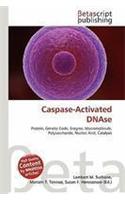 Caspase-Activated Dnase: (English)