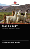 Plan Du Sujet