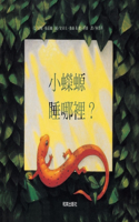 The Salamander Room