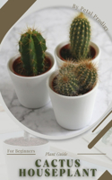 Cactus Houseplant