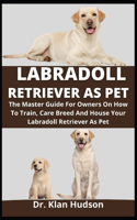 Labradoll Retriever As Pet