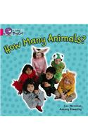 How Many Animals?