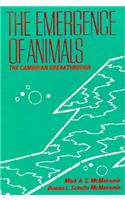 The Emergence of Animals