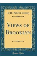 Views of Brooklyn (Classic Reprint)