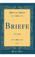 Briefe, Vol. 5: 1872-1880 (Classic Reprint)