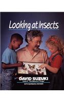 Looking at Insects