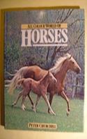 All Color World of Horses (Promo)