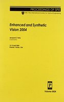 Enhanced and Synthetic Vision 2004