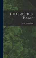 The Gladiolus Today