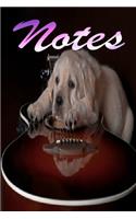 Notes: Guitar Notebook, Journal size 6x9