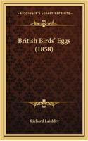 British Birds' Eggs (1858)
