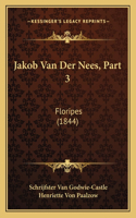 Jakob Van Der Nees, Part 3