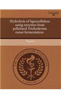 Hydrolysis of Lignocellulose Using Enzymes from Pelletized Trichoderma Reesei Fermentation