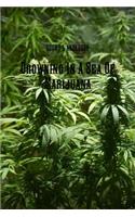 Drowning in A Sea of Marijuana