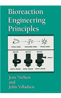 Bioreaction Engineering Principles