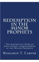 Redemption in the Minor Prophets