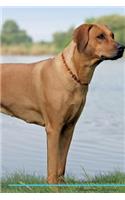 Rhodesian Ridgeback Affirmations Workbook Rhodesian Ridgeback Presents