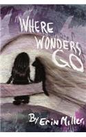 Where Wonders Go