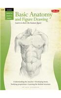 Basic Anatomy And Figure Drawing: Beginner's Guide, Everything artists need to know to draw the human figure