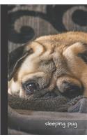 Sleeping Pug