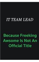 IT team lead because freeking awsome is not an offical title