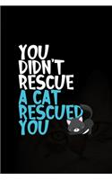 You Didn't Rescue A Cat Rescued You