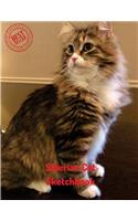 Siberian Cat Sketchbook