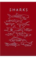 Sharks