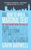 How to Win a Marginal Seat