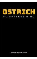 Ostrich Flightless Bird
