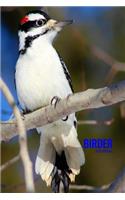 Birder Journal