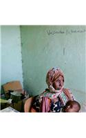Jarret Schecter: Displaced in Denan