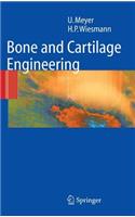 Bone and Cartilage Engineering