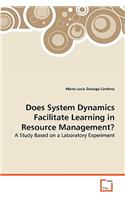 Does System Dynamics Facilitate Learning in Resource Management