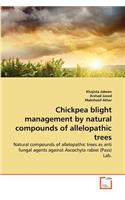 Chickpea blight management by natural compounds of allelopathic trees