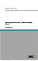 Neurophysiologie der Aufmerksamkeit
